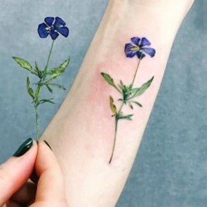 Meet your Posher, Adrienne